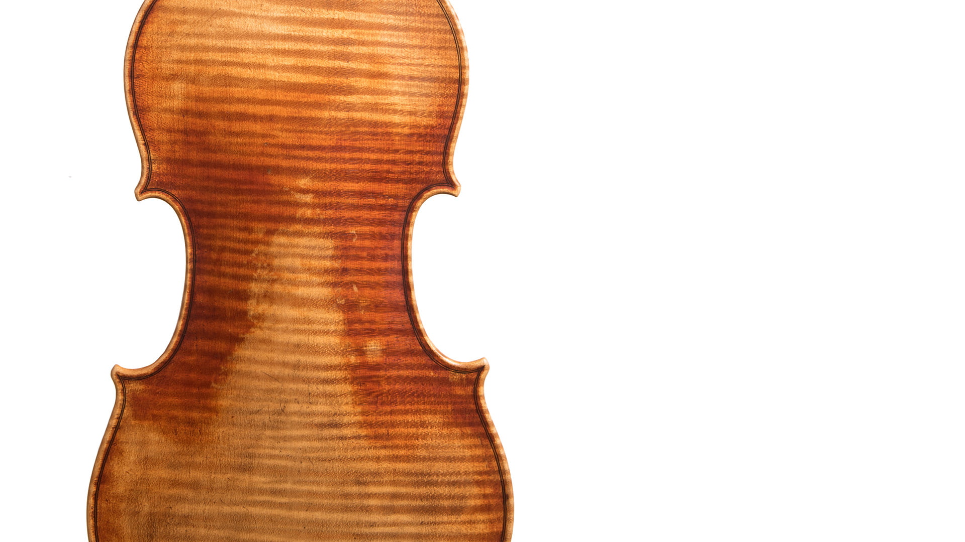 The flamed maple back of a violin by Emanuil Markov